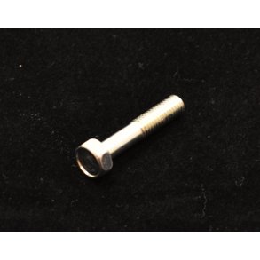 BOLT 5X25 TIL BREMSEARM