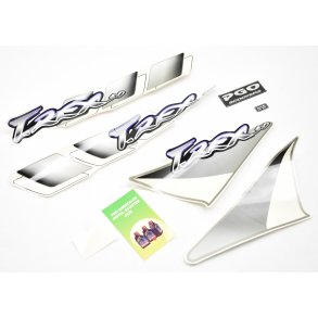 TRANSFERS ST T-REX 50