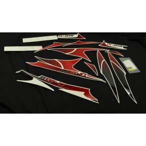 TRANSFERS ST DR. BIG